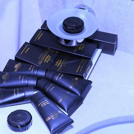 Hotel International & Conference Center 4*