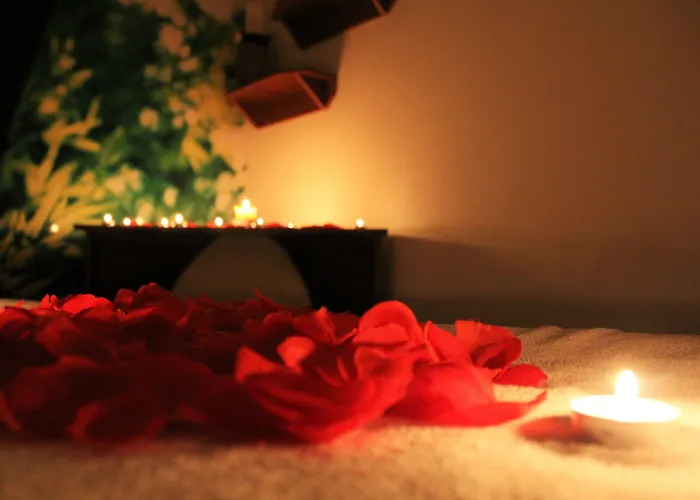 International & Conference Center 4* Tirana